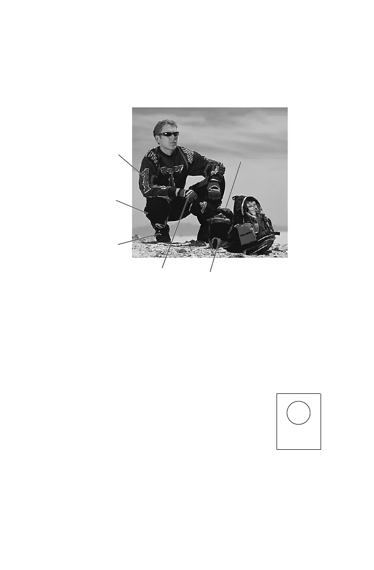 Page #10 background image