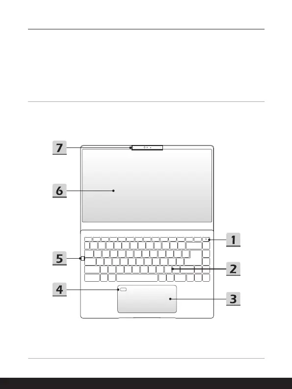 Page #17 background image
