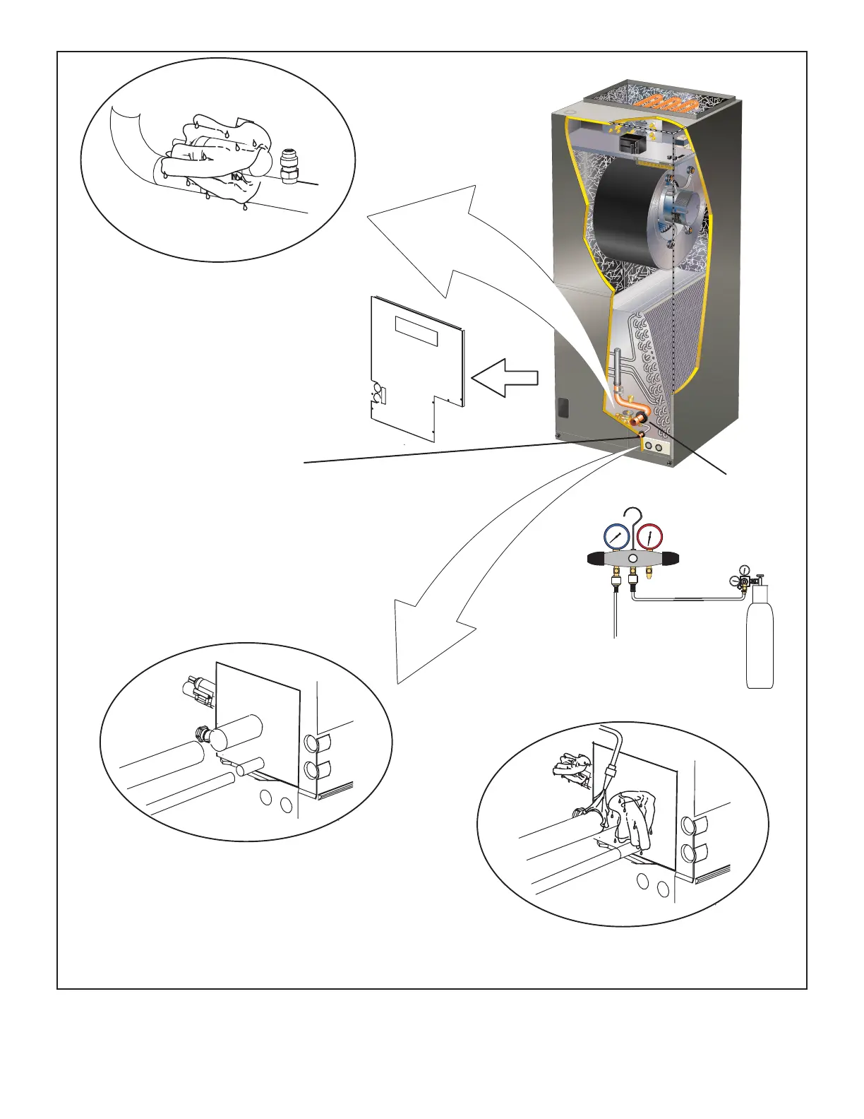 Page #19 background image