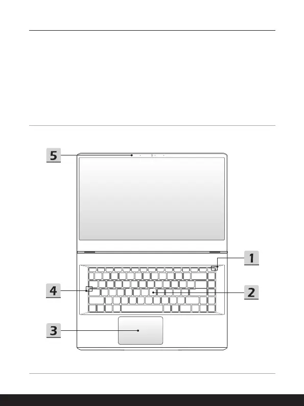 Page #17 background image