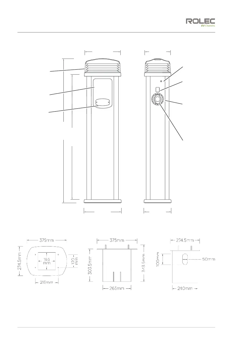 Page #8 background image