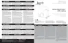Preview: Manual