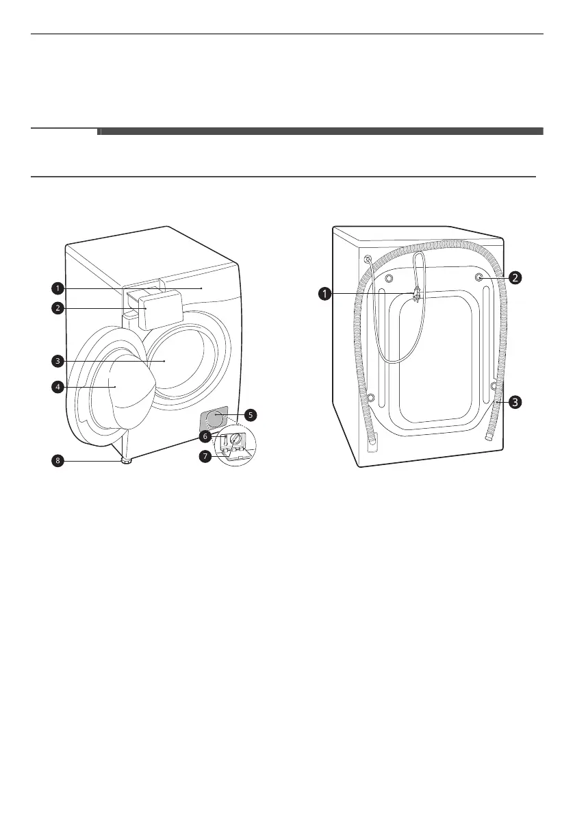 Page #10 background image