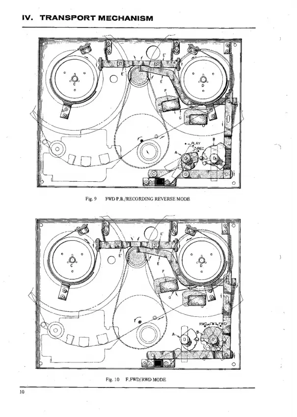 Page #10 background image