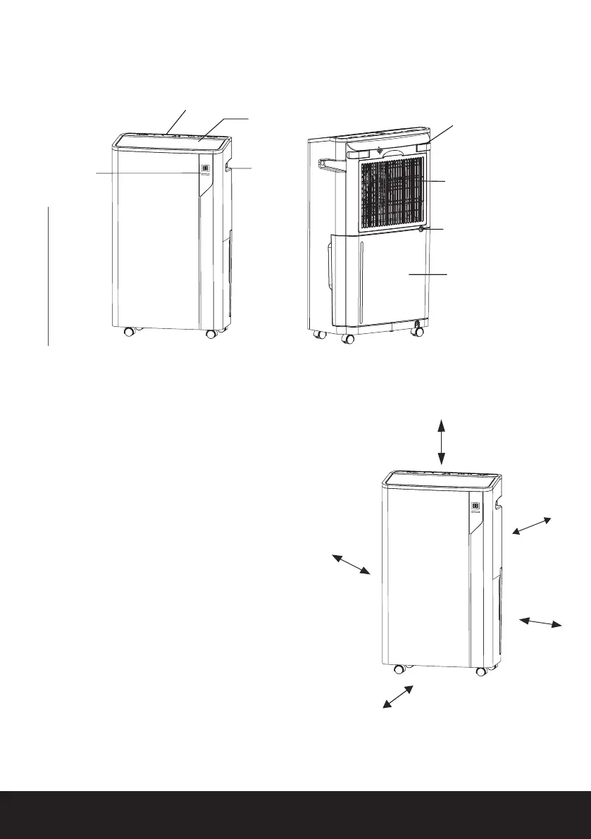 Page #8 background image