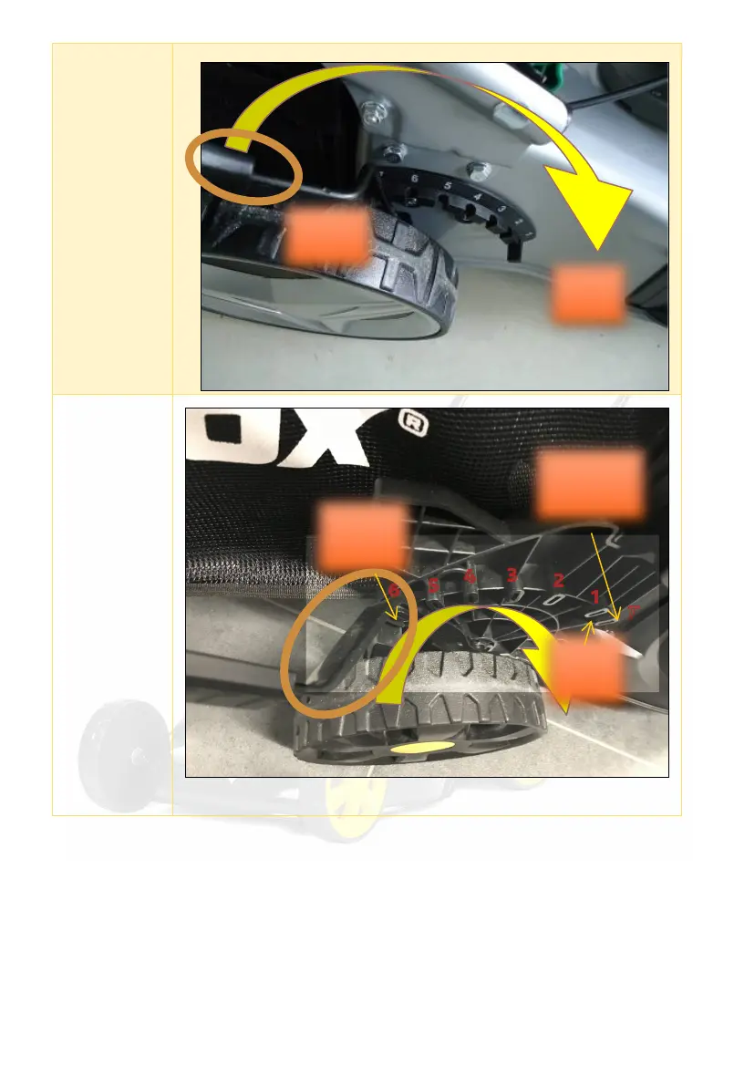 Page #19 background image