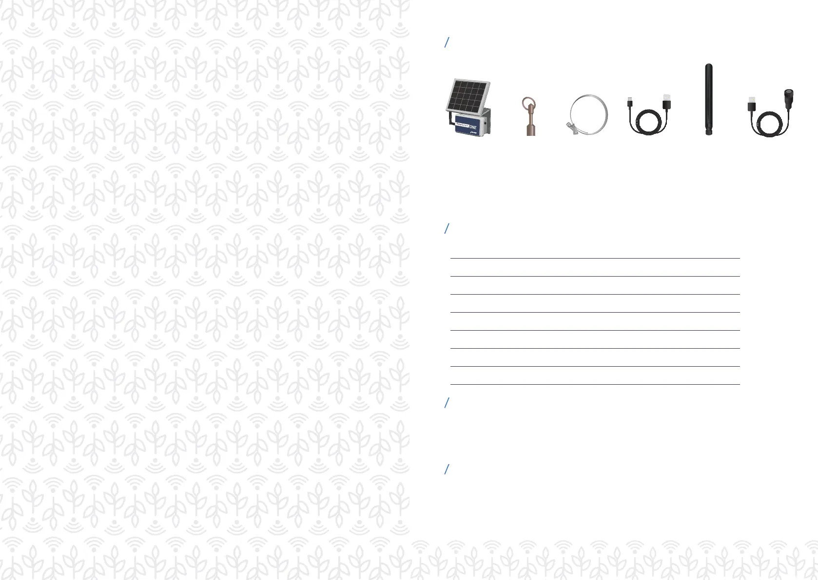 Page #2 background image