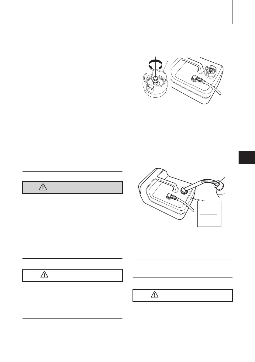 Page #209 background image