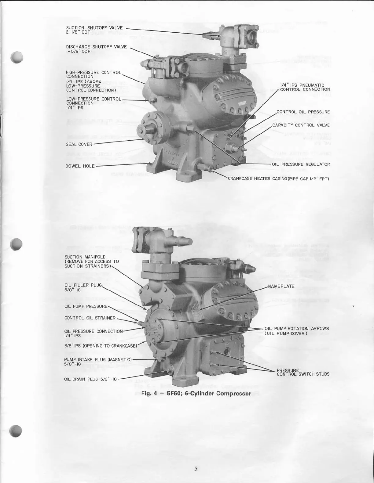 Page #5 background image