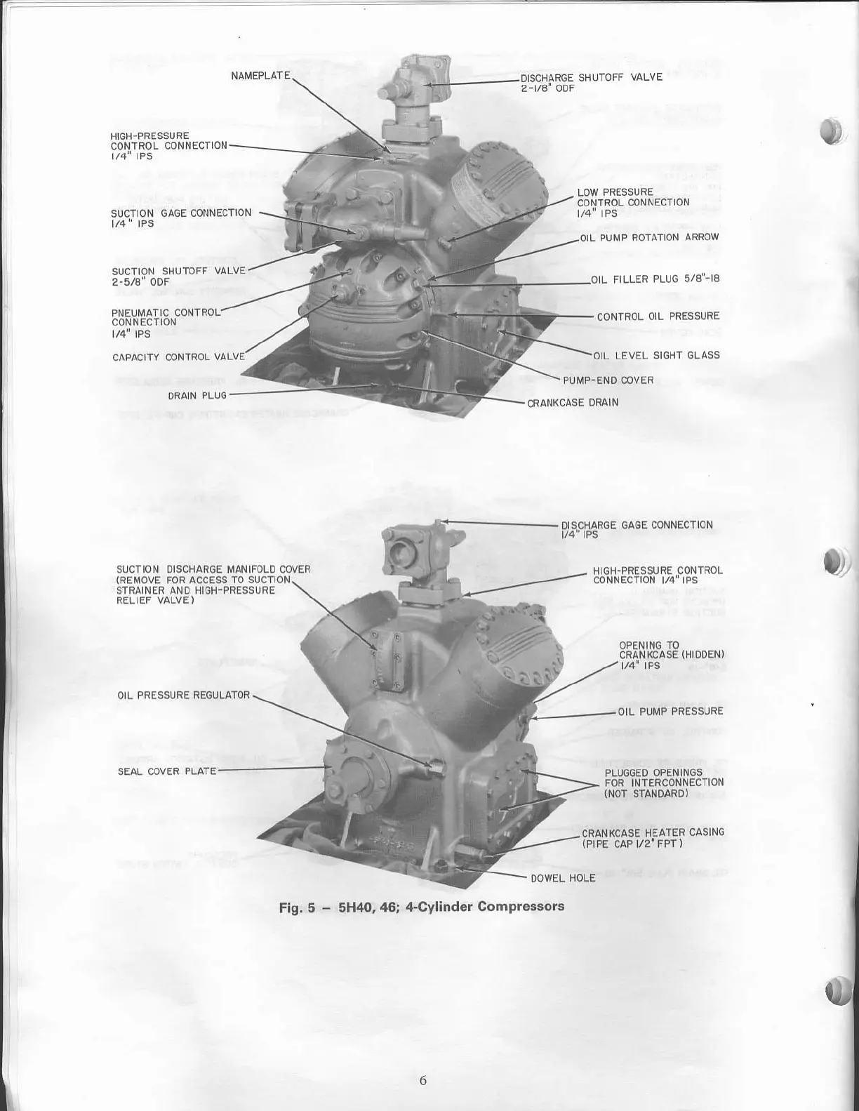 Page #6 background image