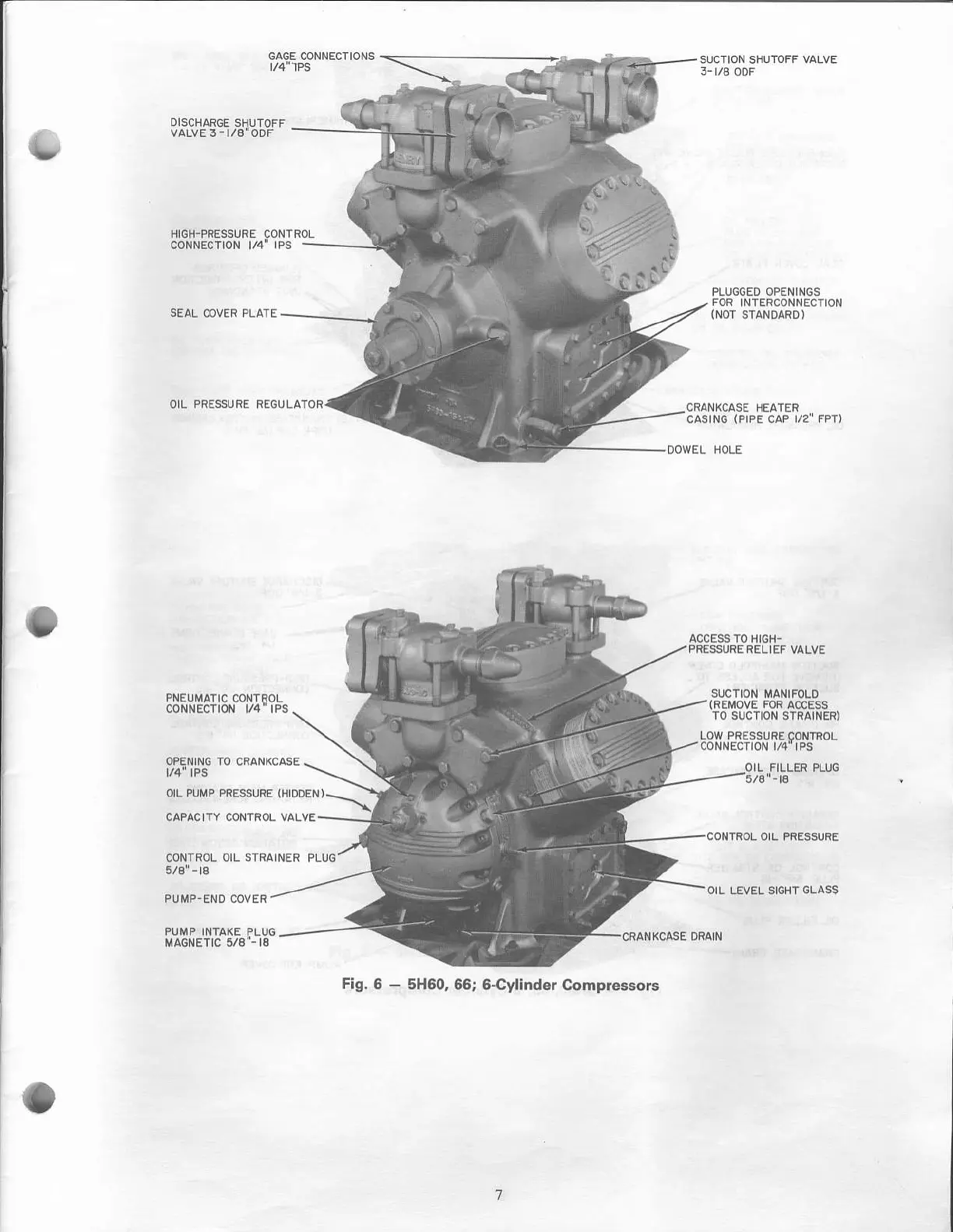 Page #7 background image