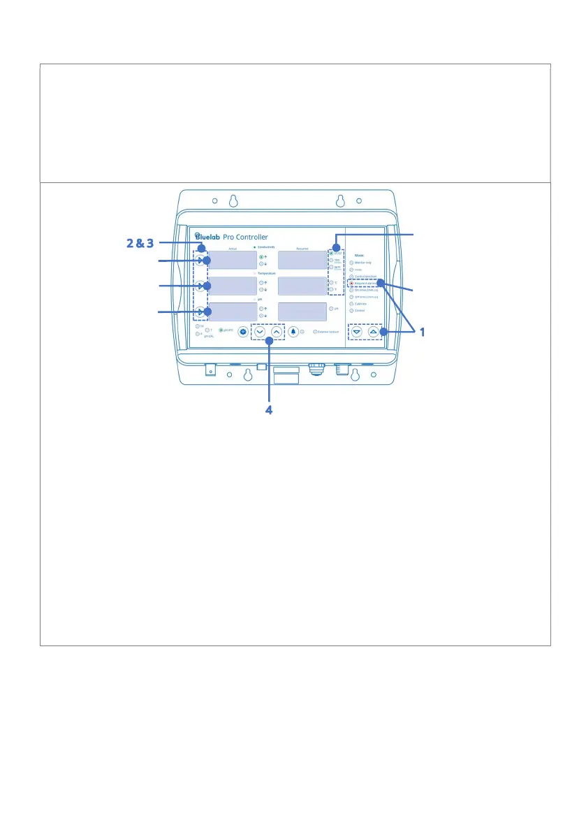 Page #13 background image