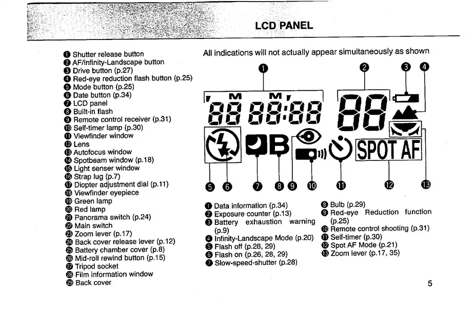 Page #7 background image