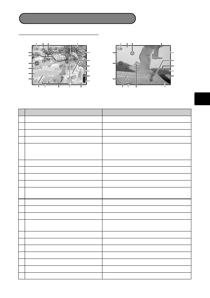 Page #17 background image