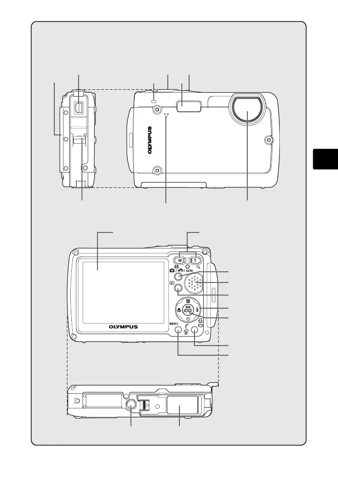 Page #3 background image