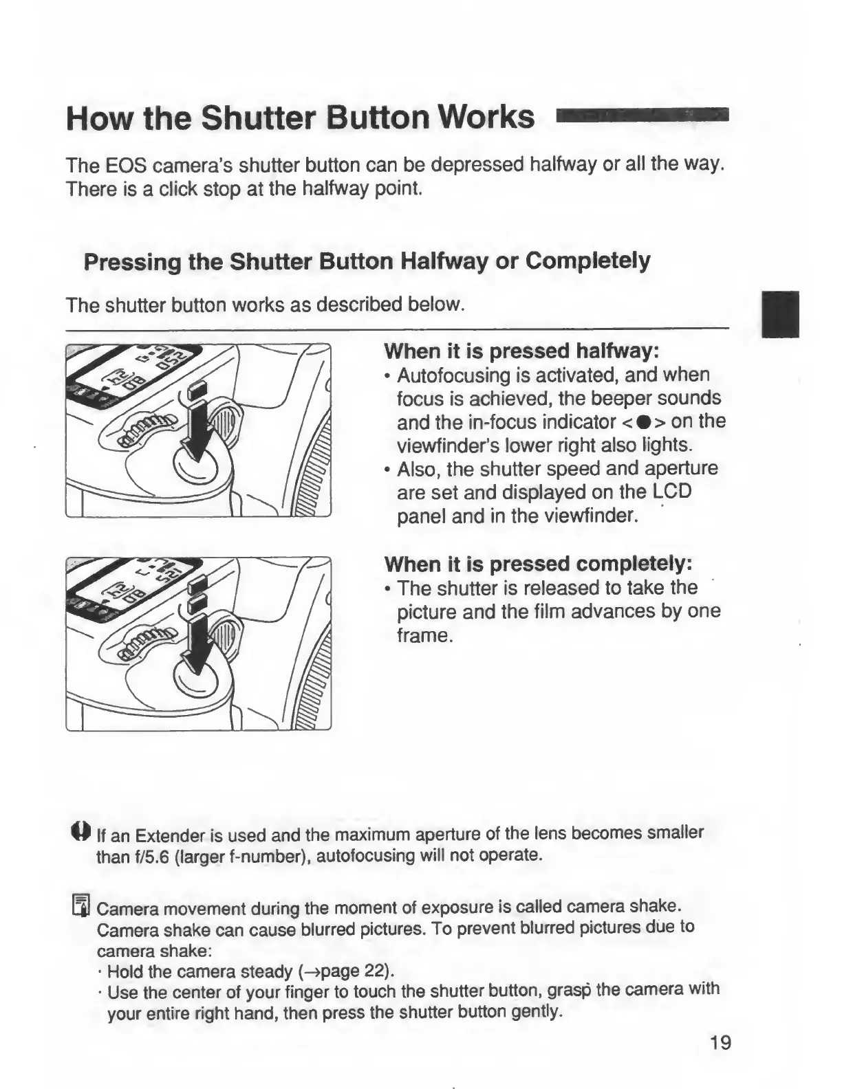 Page #19 background image