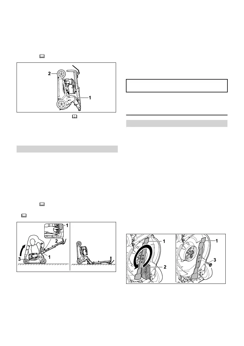 Page #257 background image