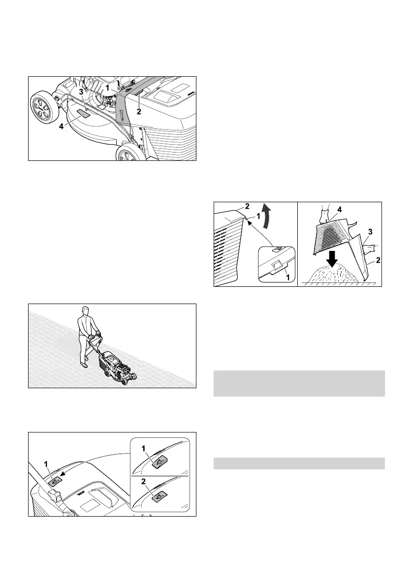 Page #295 background image