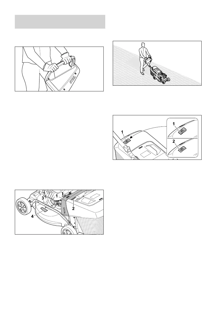 Page #447 background image