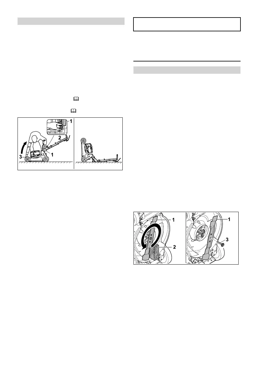 Page #505 background image