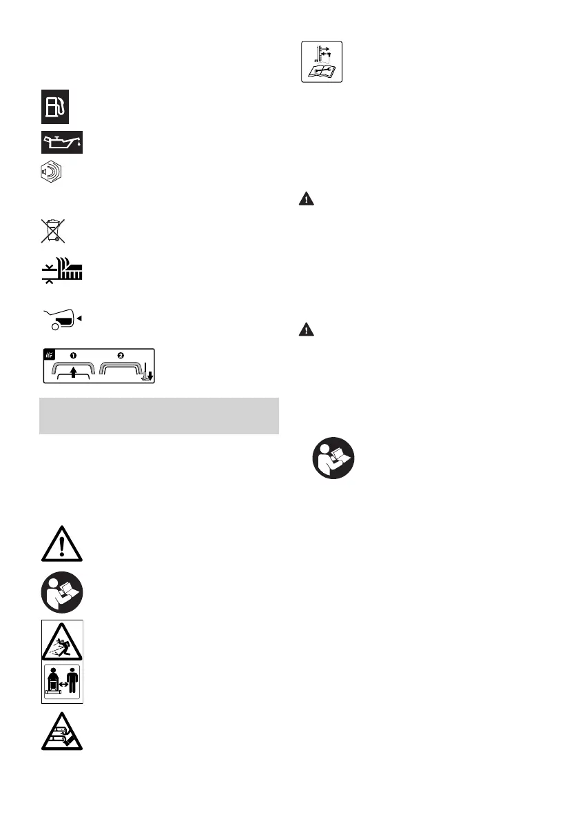 Page #225 background image