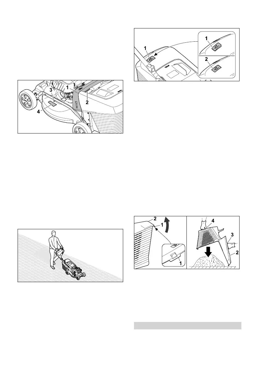 Page #236 background image