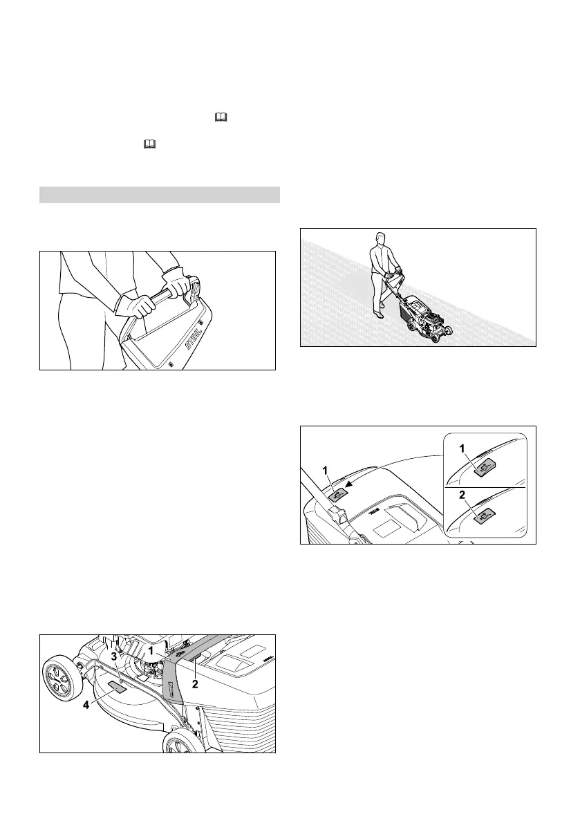 Page #255 background image
