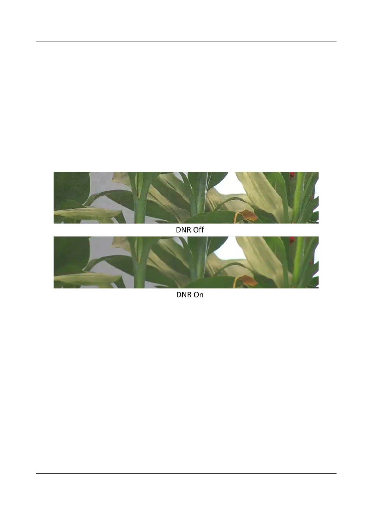 Page #57 background image