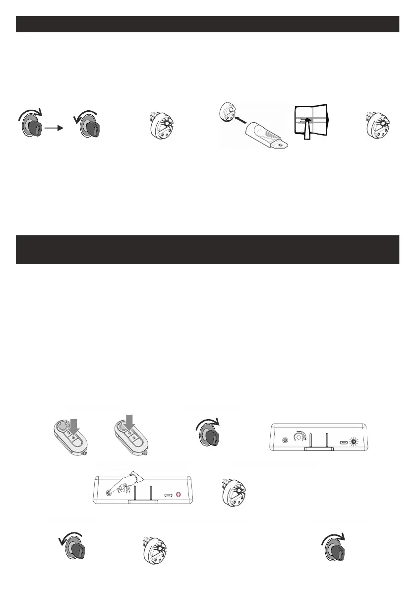 Page #21 background image