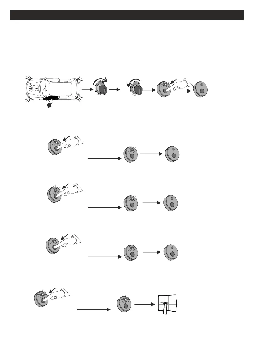 Page #28 background image