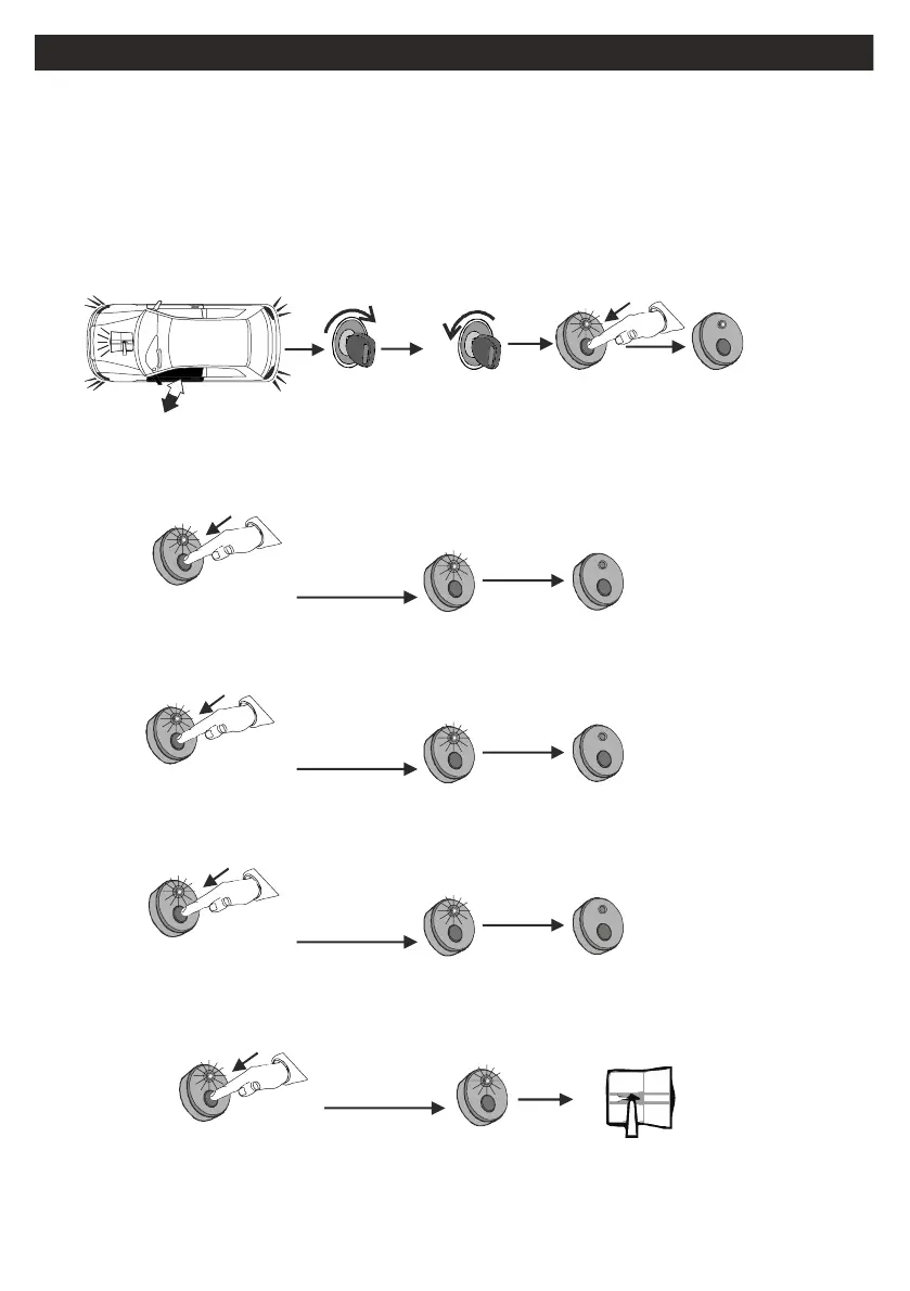 Page #62 background image
