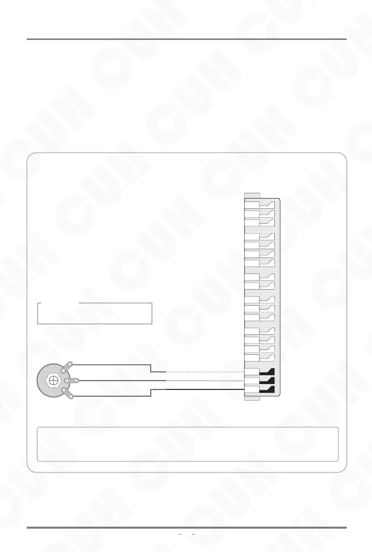 Page #21 background image