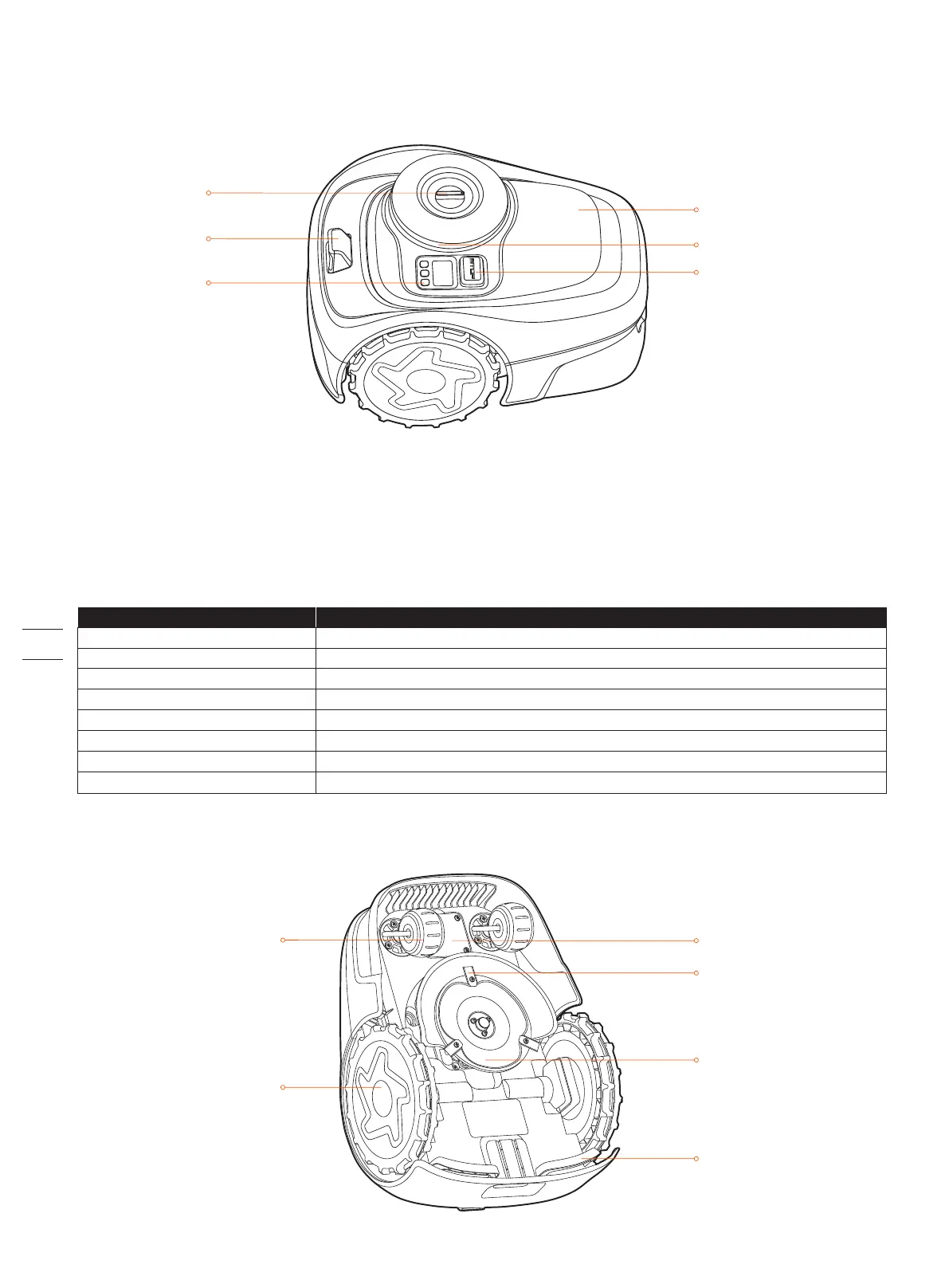 Page #10 background image