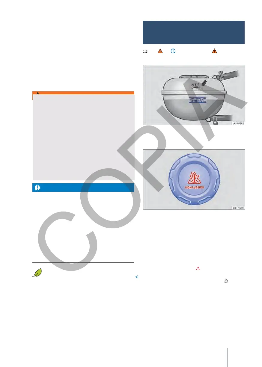 Page #261 background image