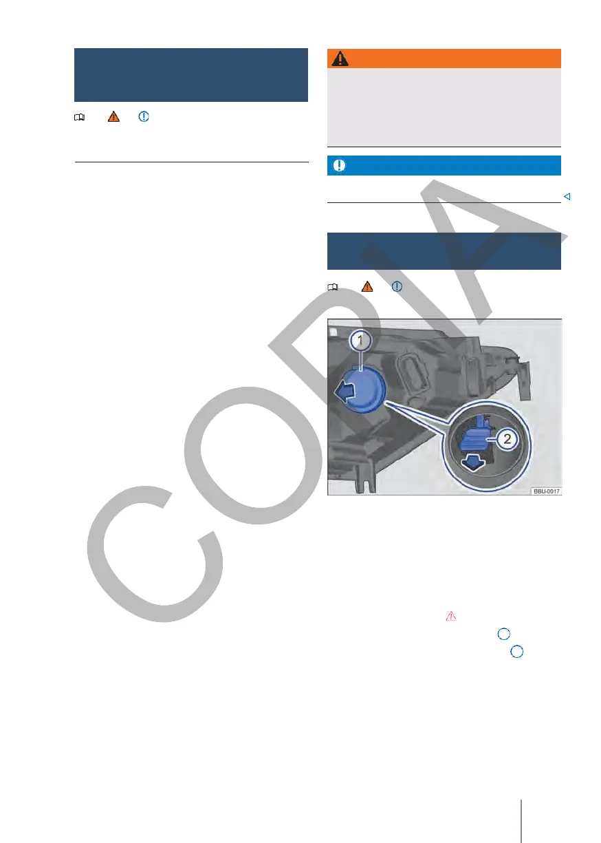 Page #239 background image