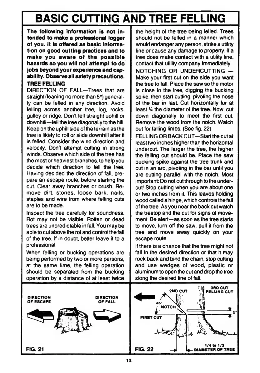 Page #13 background image