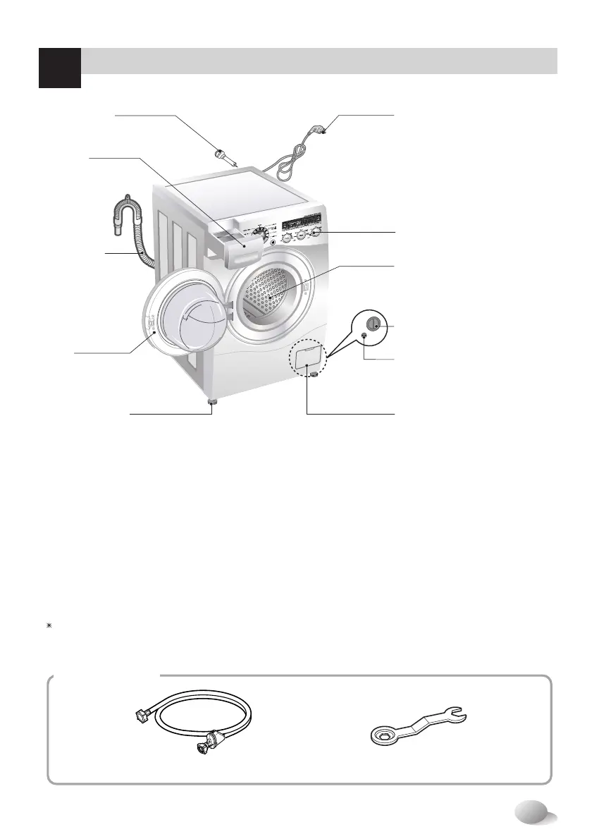 Page #5 background image