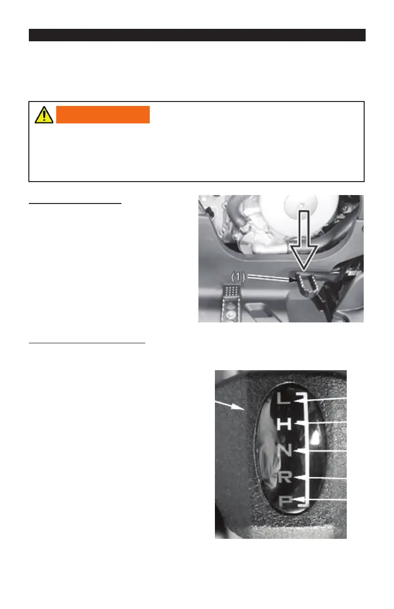 Page #43 background image
