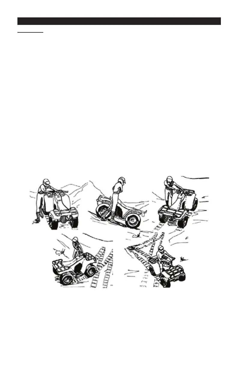 Page #53 background image