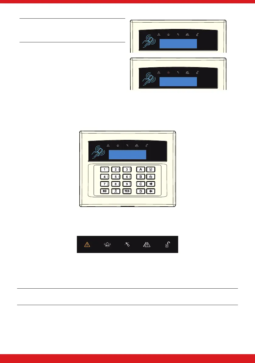 Page #11 background image