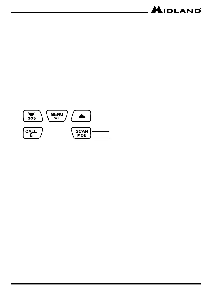Page #10 background image