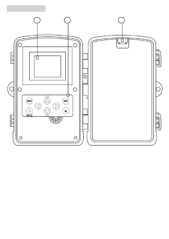 Page #11 background image