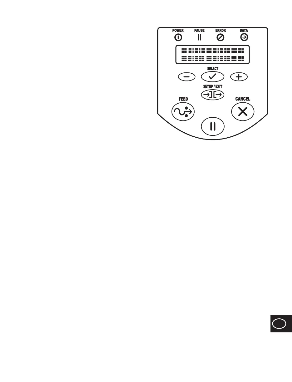 Page #117 background image