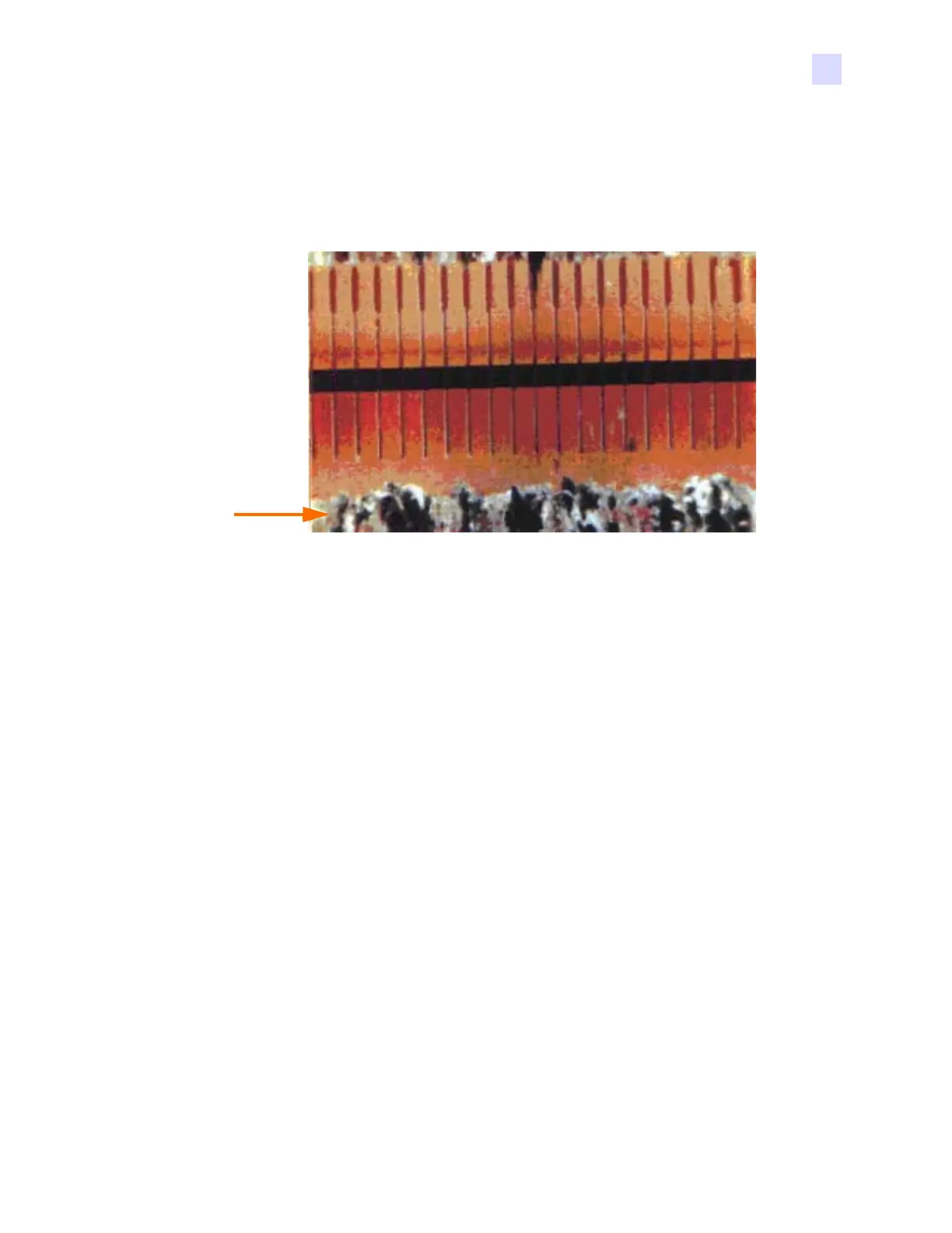 Page #351 background image