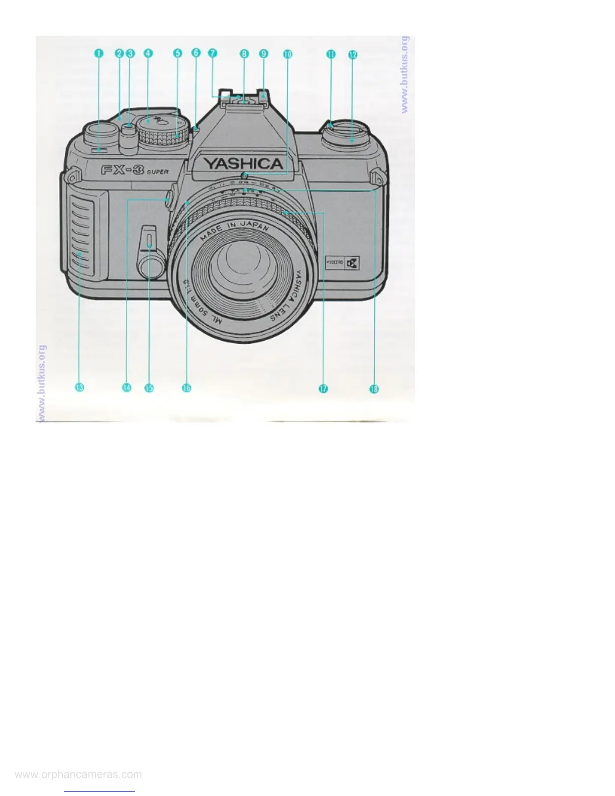 Page #3 background image