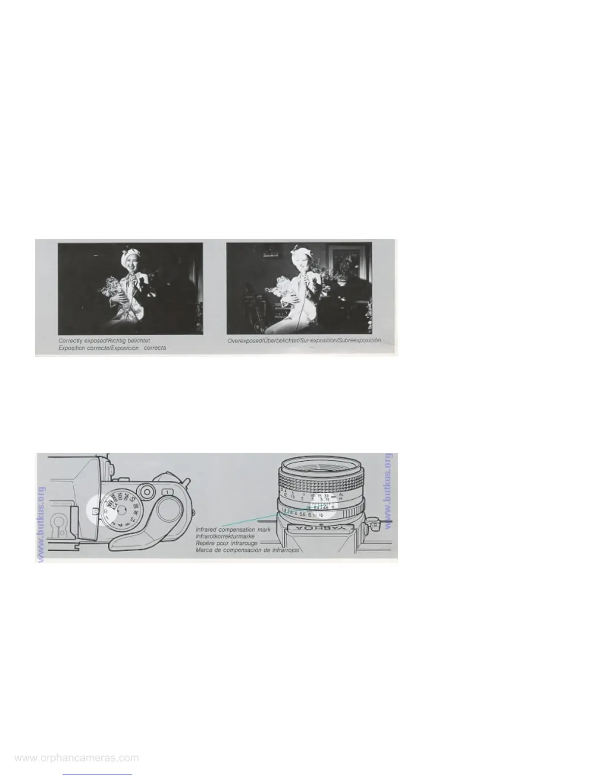Page #12 background image