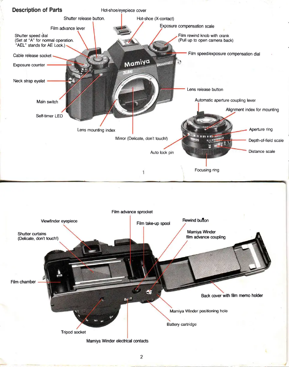 Page #3 background image