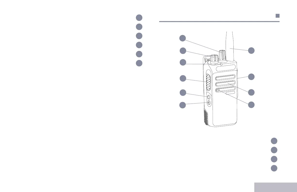 Page #433 background image
