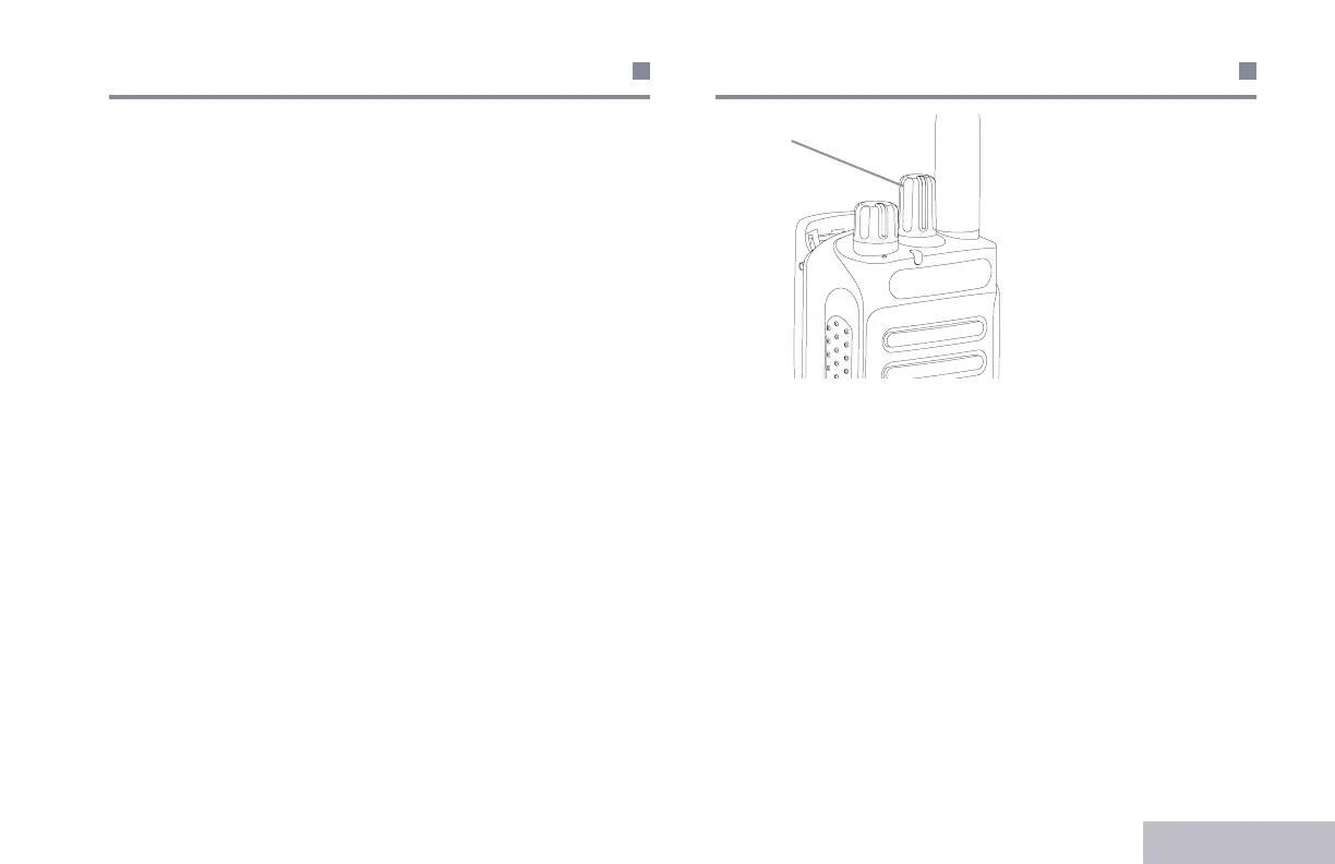 Page #437 background image