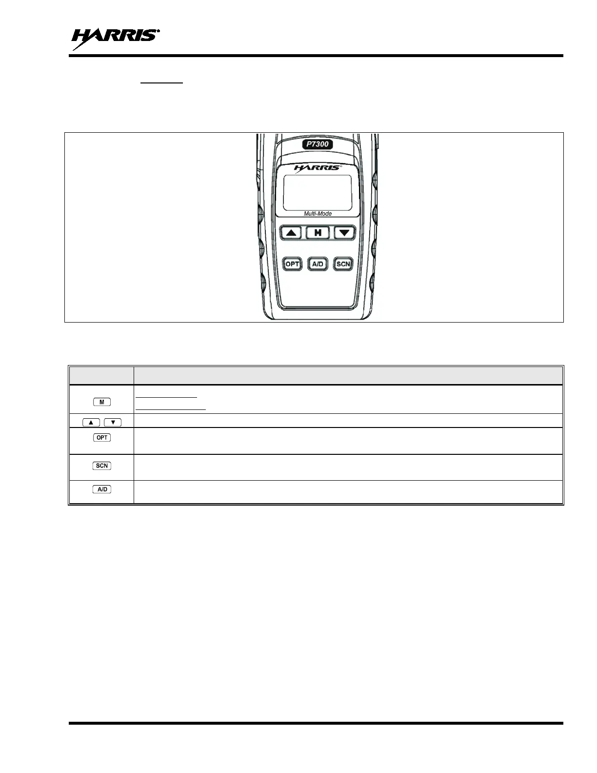 Page #61 background image